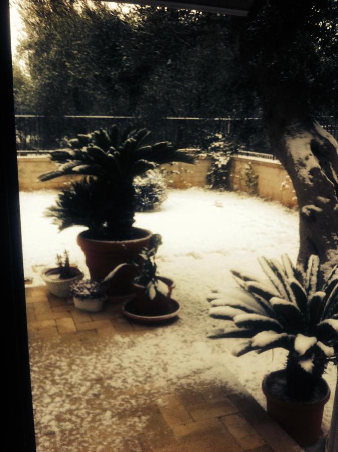 Les Fleurs B&B Bari Zewnętrze zdjęcie